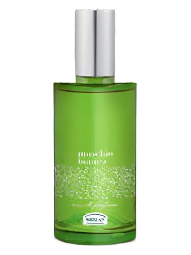 Muschio Bianco