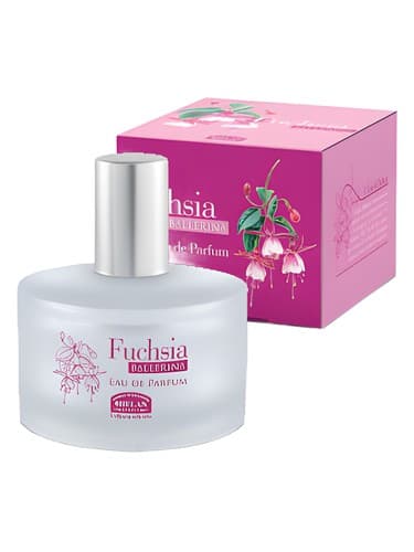 Fuchsia Ballerina - بالرین فوشیا
