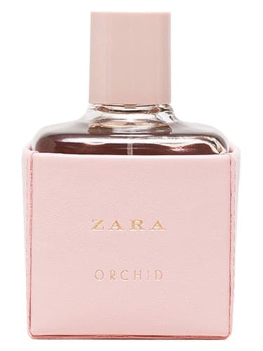 Zara Orchid 2016