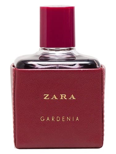 Zara Gardenia 2016 - زارا گاردنیا 2016