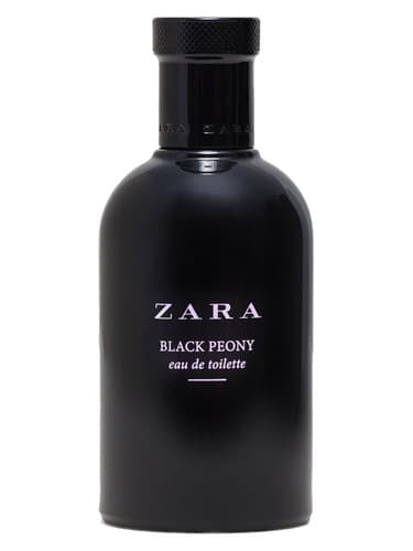 Zara Black Peony - گل صد تومانی بلک زارا