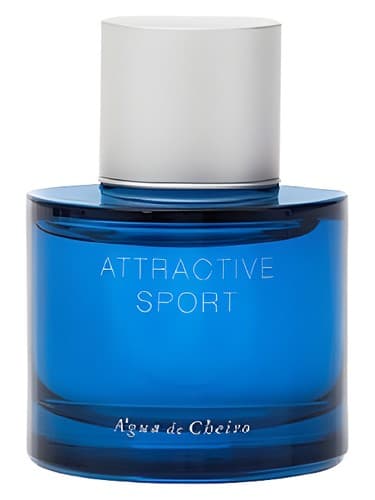 Attractive Masculino Sport