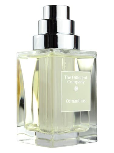 Osmanthus - عثمانتوس