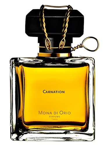 Carnation - میخک