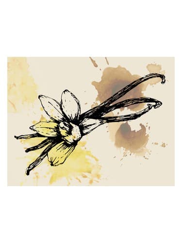 No. 3 - شماره 3