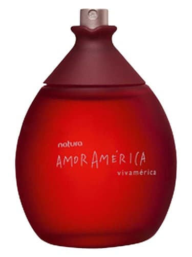 Amor América Vivamérica