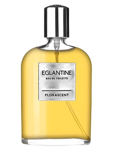 Eglantine - اگلانتین