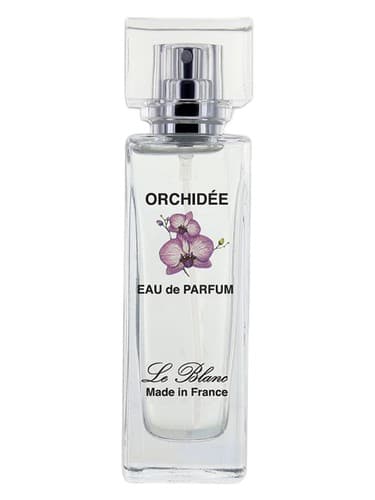 Orchidée - ارکیده