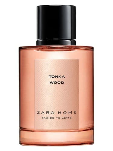 Tonka Wood - تونکا وود