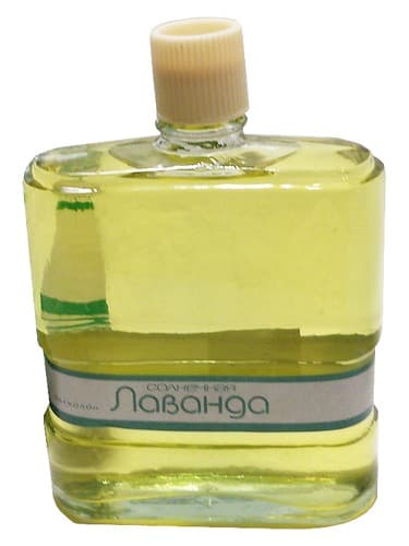 Солнечная лаванда (Sunny Lavender)