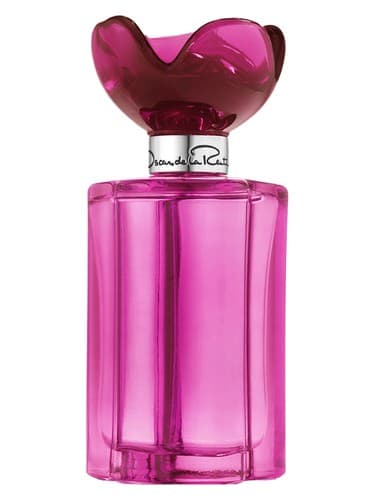 Rose - رز