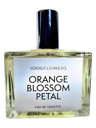 Orange Blossom Petal - گلبرگ شکوفه اورنج