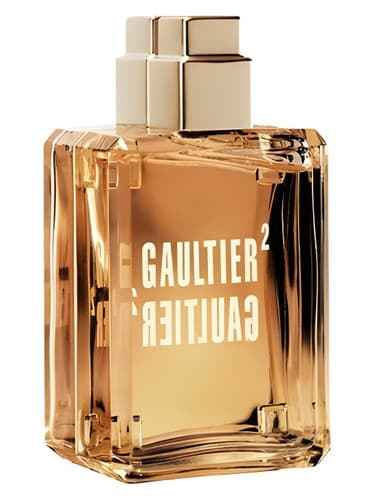 Gaultier 2 - گوتیه 2