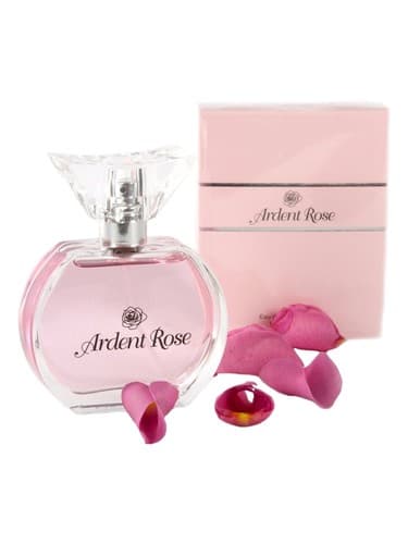 Ardent Rose - گل رد رز
