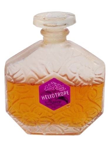 Heliotrope