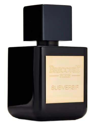 Subversif - برانداز