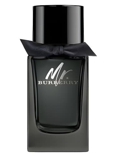 Mr. Burberry Eau de Parfum - ادو پرفیوم مستر باربری