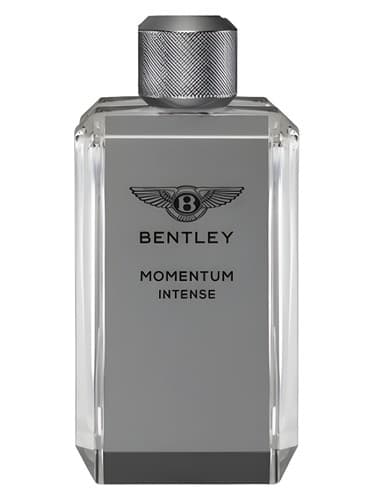 Momentum Intense