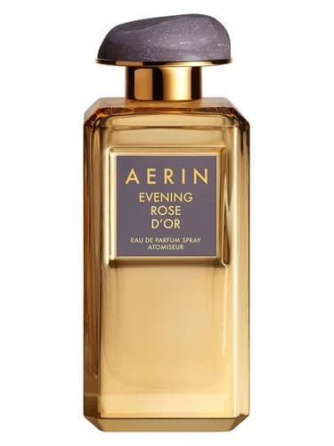 Evening Rose D'Or - نایت رز گلد