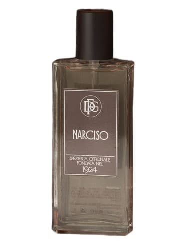 Narciso - نارسیسو