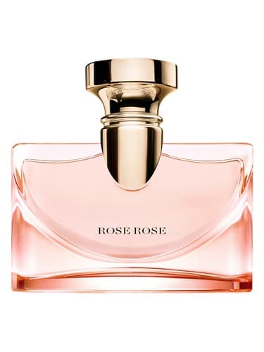 Splendida Rose Rose