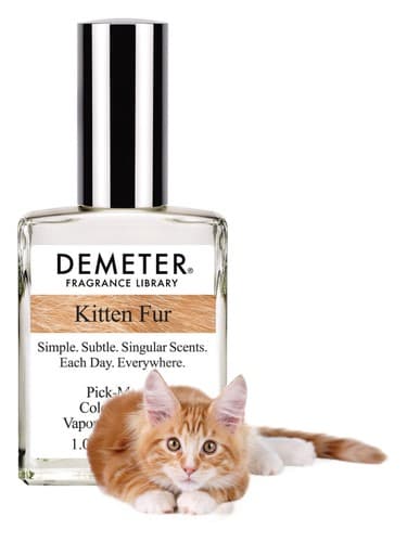 Kitten Fur - خز بچه گربه