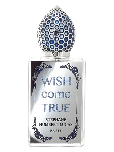 Wish Come True - آرزو به حقیقت می پیوندد