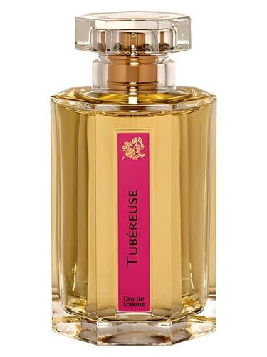 Tubereuse