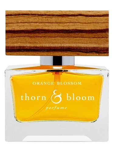 Orange Blossom - شکوفه اورنج