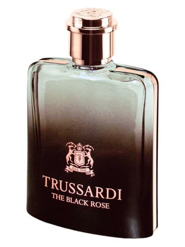 The Black Rose - رز بلک