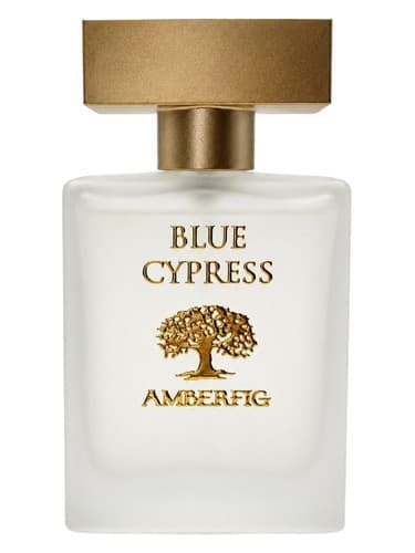 Blue Cypress