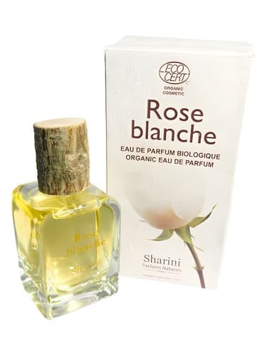 Rose Blanche - رز بلانچ