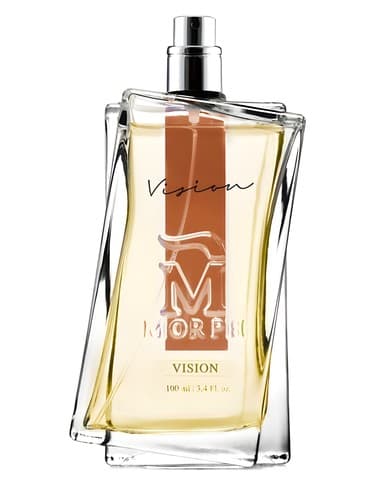 Vision - چشم انداز