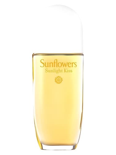 Sunflowers Sunlight Kiss