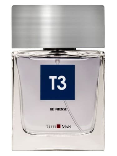 T3 Be Intense - T3 شدید باشید