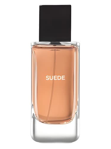 Suede - جیر