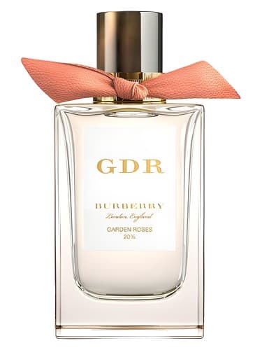 Garden Roses - گل رز باغچه