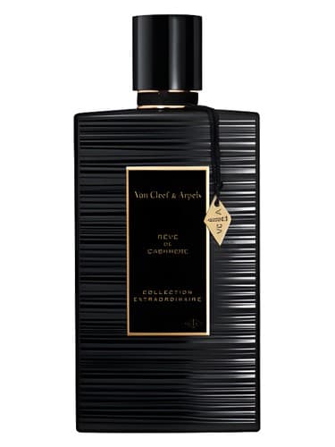 Rêve de Cashmere