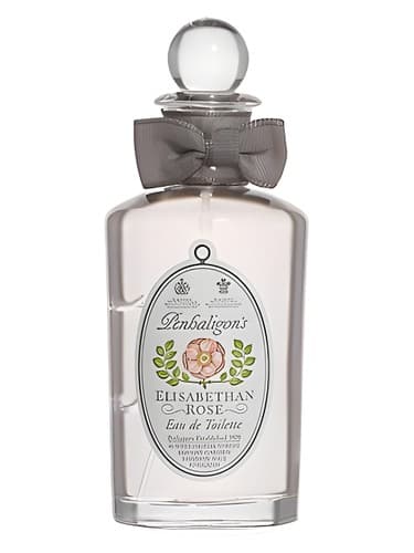 Elisabethan Rose - Vintage
