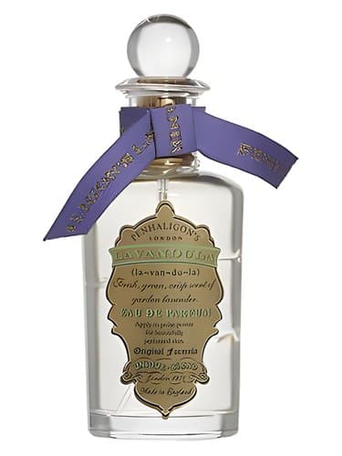 Lavandula - اسطوخودوس