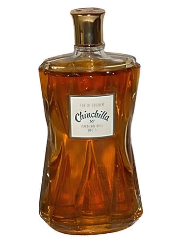 Chinchilla