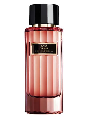 Rose Cruise - رز کروز