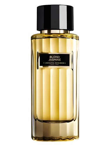 Blond Jasmine - یاس بور