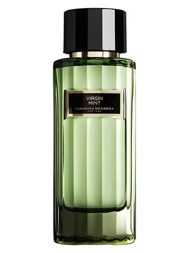 Virgin Mint - ویرجین نعناع