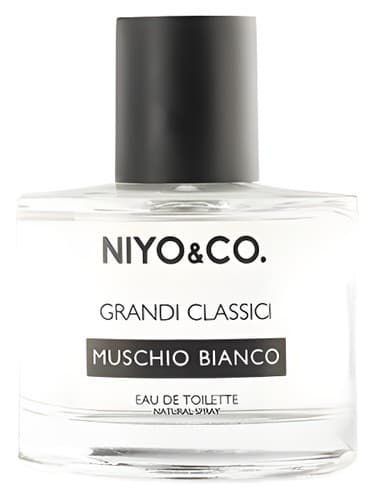 Muschio Bianco - موشیو بیانکو