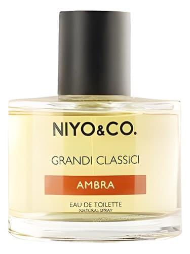 Ambra