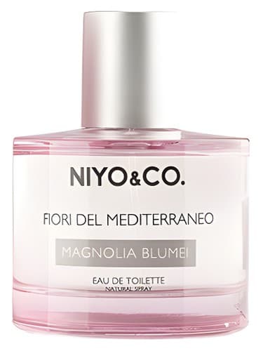Magnolia Blumei - ماگنولیا بلومی