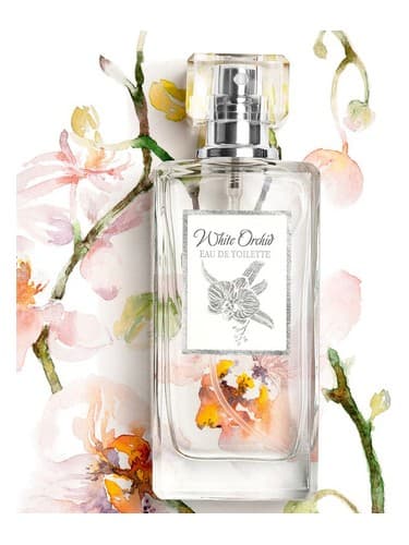 White Orchid - ارکیده وایت