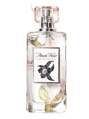 Almond Flower - گل بادام