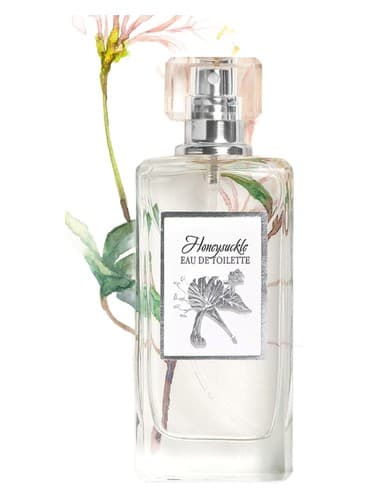 Honeysuckle - پیچ امین الدوله